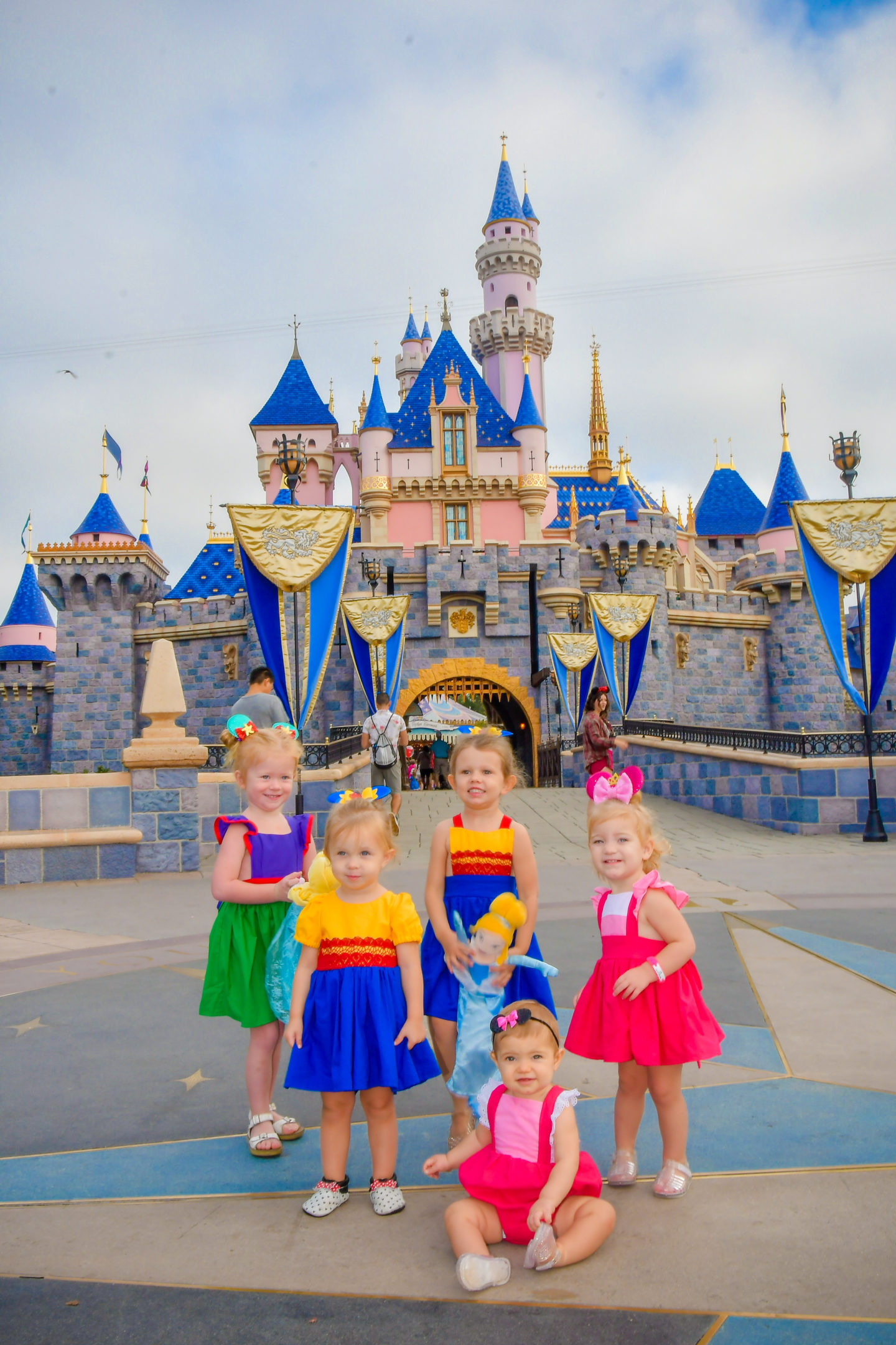 Disneyland castle picture